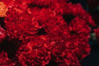 Kaboompics - Close-up of a red flower bouquet