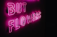 Kaboompics - Nothing But Flowers Glowing Neon