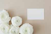 Blank card & flowers on beige background