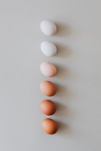 Shades of eggs