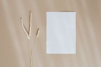 Blank card & dried grass on beige background
