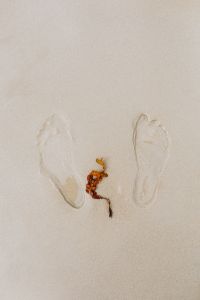 Kaboompics - footprint in the sand