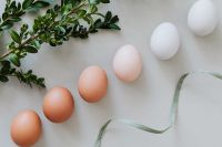 Eggs & Buxus