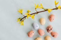 Kaboompics - Easter Eggs & Forsythia