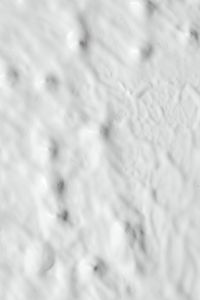 Kaboompics - Close-up of white paint surface - texture - background