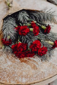 Kaboompics - Winter bouquet with red carnations and pine