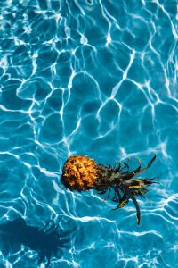 Kaboompics - Baby Pineapple in a swimming pool