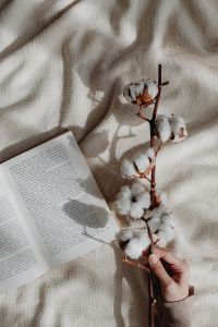 Kaboompics - Book - reading - blanket - evening - cotton branch