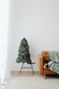 Kaboompics - Christmas tree with a small gift