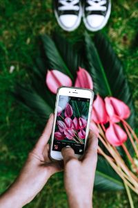 Kaboompics - Woman taking a photo of Anthurium and Sago Palm
