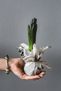 Woman holding a seedling in her hand
