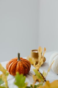 Kaboompics - White pumpkins - candle - oak leaves