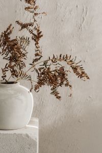 Kaboompics - Nature and Craftsmanship - Delicate Flowers in Handmade Ceramic Vessels - Home Accessories
