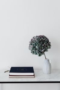 Books On Marble Table, White Background, Hydrangea