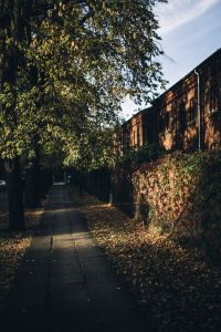 Kaboompics - Sidewalk with fall leaves