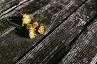 Kaboompics - Yellow flowers on wood
