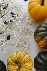 Kaboompics - Small yellow and dark green pumpkins on a white background