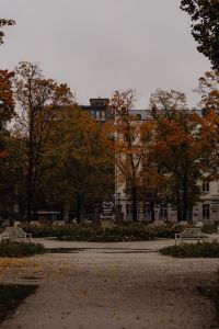 Kaboompics - Atmospheric Autumn in a City Park - Fall Leaves on the Trees