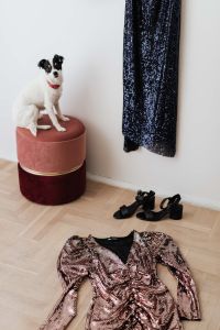 colored sequin dresses and boots lie on a wooden parquet, blue dress hang on the white wall, White Dog