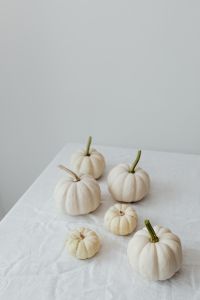 Kaboompics - White pumpkins