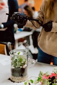 Kaboompics - Woman taking a photo of terrarium with plants