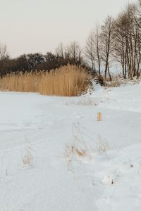 Kaboompics - view on a frozen lake