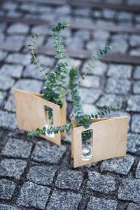 Kaboompics - Miniature green plants in a small glass on cobblestone