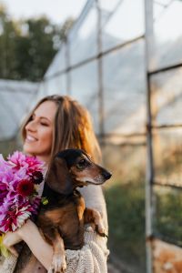 Kaboompics - A woman with beautiful colorful dahlia flowers, holding in her hands a dachshund dog