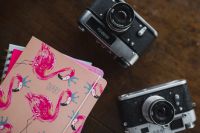 Kaboompics - Old analog cameras and pink books on a wooden table