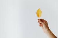 Kaboompics - A young girl holds a yellow leaf