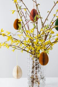 Kaboompics - Easter with Forsythia