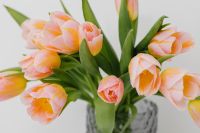 Kaboompics - Pink and yellow tulips