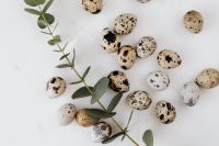 Kaboompics - Quail eggs & eucalyptus