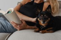 Kaboompics - A woman reads a book on the couch with her dog