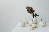 White pumpkins - hydragea
