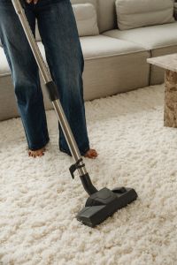 Everyday Domestic Bliss - A Woman's Journey through Home Cleaning and Comfort