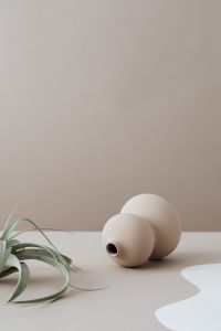 Kaboompics - vase on beige background