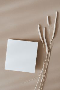 Kaboompics - Blank card & dried grass on beige background