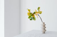 Oak leaves in a vase