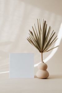 Kaboompics - Empty card - palm leaf
