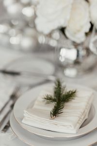 Kaboompics - Porcelain tableware with napkin and spruce branch