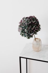 Kaboompics - Hydrangea on a Marble Table, White Background