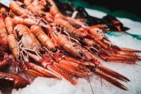 Kaboompics - Fresh shrimps seafood of La Boqueria