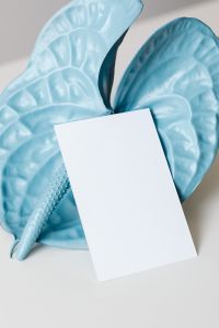 Kaboompics - Blue anthurium flower - business card mockup - empty