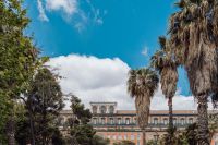 Kaboompics - PALAZZO REALE (ROYAL PALACE), Palm Trees, Piazza del Plebiscito, Toledo, Naples, Italy