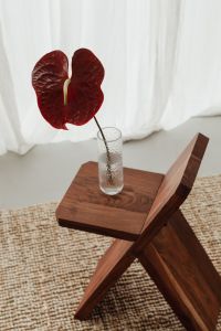 Kaboompics - Blooming Flower in Vase on Wooden Chair - A Charming Still Life Collection