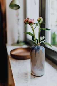 Kaboompics - Peony flowers in vase