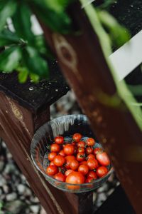 Homegrown Organic Cherry Tomatoes