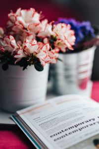 Pink and purple flowers with a book