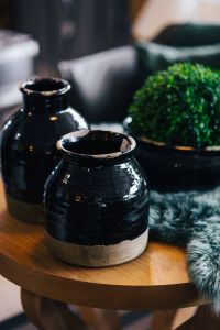 Green plant in a black pot with black jars and a soft cyan rug